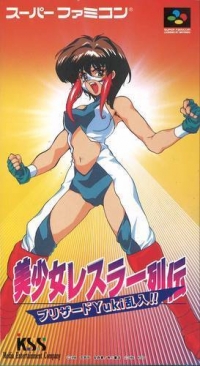 Bishoujo Wrestler Retsuden: Blizzard Yuki Rannyuu Box Art