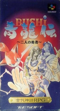 Bushi Seiryuuden: Futari no Yuusha Box Art