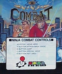 Ninja Combat Box Art