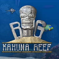 Big Kahuna Reef Box Art