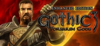 Gothic 3: Forsaken Gods - Enhanced Edition Box Art