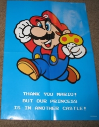 Mario - Thank You Mario Poster Box Art