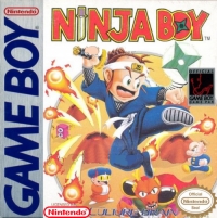 Ninja Boy Box Art