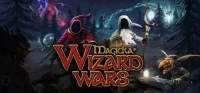 Magicka: Wizard Wars Box Art