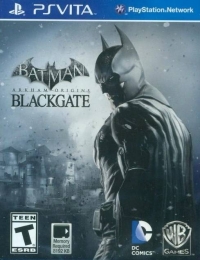 Batman: Arkham Origins Blackgate Box Art