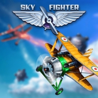 Sky Fighter Box Art