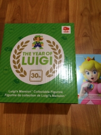 Club Nintendo Luigi's Mansion Figurine Box Art