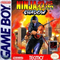 Ninja Gaiden Shadow Box Art