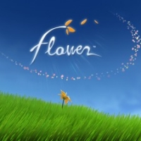 Flower Box Art