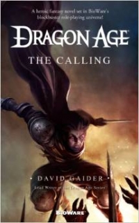 Dragon Age: The Calling Box Art
