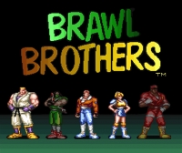 Brawl Brothers Box Art