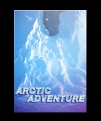 Artic Adventure Box Art