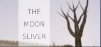 Moon Sliver, The Box Art