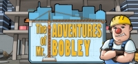 Adventures of Mr. Bobley, The Box Art
