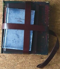 Bloodborne (bound books) Box Art