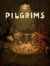 Pilgrims Box Art
