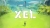 Xel Box Art