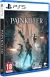 Painkiller Box Art
