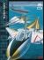 Flight Deck Box Art