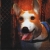 Lost in Vivo Original Soundtrack Box Art