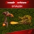 Arcade Archives 2 Syvalion Box Art
